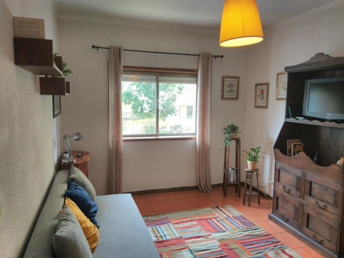 ! Free Parking Street ! Ground Floor With Washer! Porto Zewnętrze zdjęcie